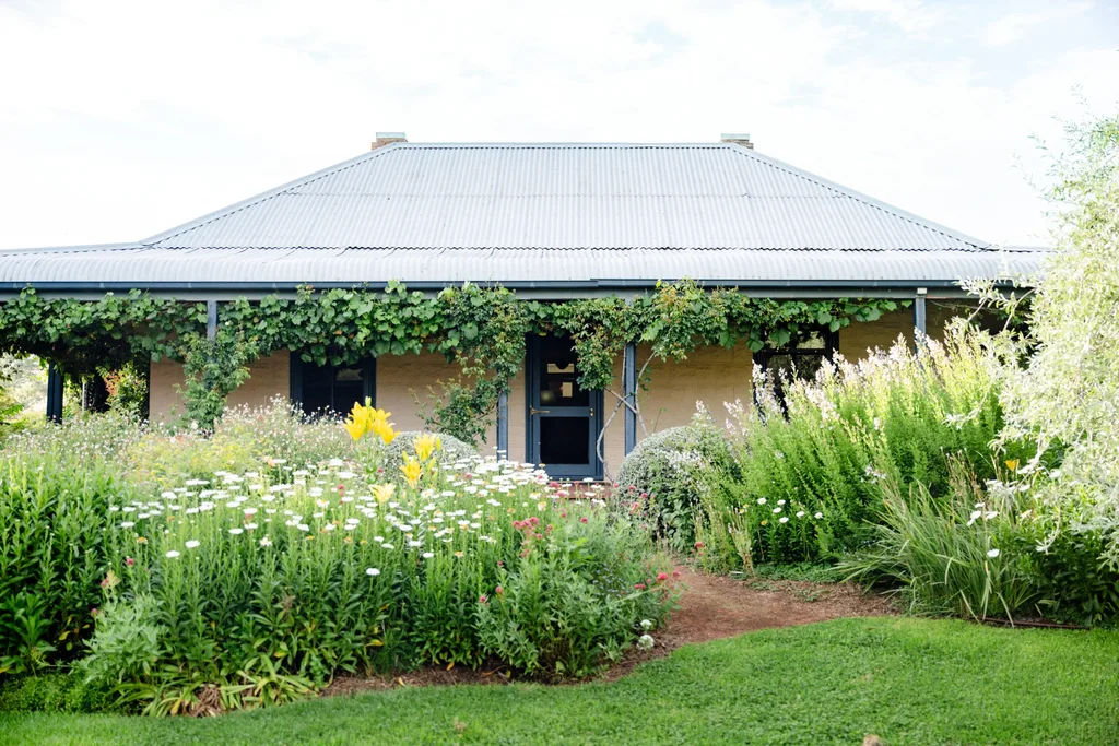 An Australian cottage in rural NSW, with blue veranda posts, a blue front door and blue roof. Wisteria grows from the veranda with a flowering garden out the front.