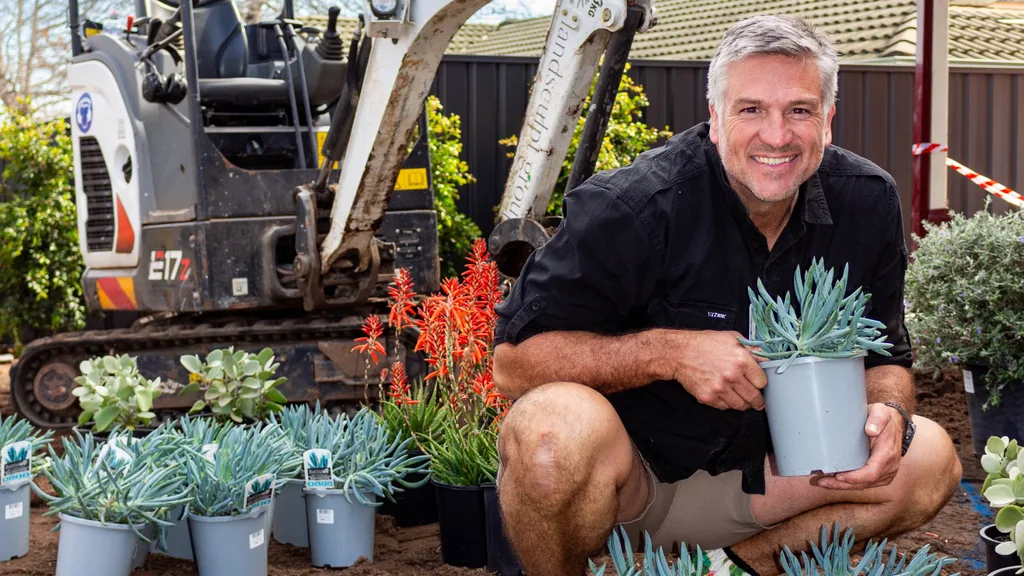 Selling Houses Australia Dennis Scott